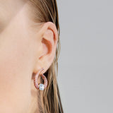 Limited Edition Argyle Ellipse Earrings