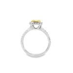 Two-tone 18ct yellow and white gold diamond ring with a 1.01ct Fancy Intense Yellow centre diamond and diamond cluster surround.