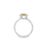 Two-tone 18ct yellow and white gold diamond ring with a 1.01ct Fancy Intense Yellow centre diamond and diamond cluster surround.