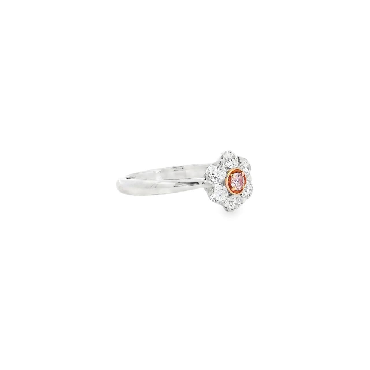 18ct white and rose gold Kimberley Peony ring featuring a natural Argyle pink diamond and white diamond posy cluster design with tapered shoulders.