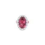 18ct rose and white gold ring featuring a 9.25ct oval pink tourmaline surrounded by a halo of diamonds, with rubies bead set into the undercarriage and split claw shoulders.
