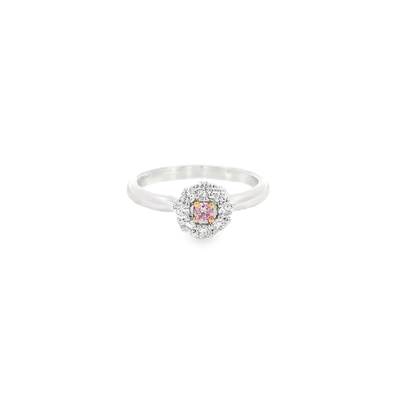 18ct white gold pink and white diamond ring featuring a multi-claw flower cluster design with central Argyle pink diamond and polished band.
