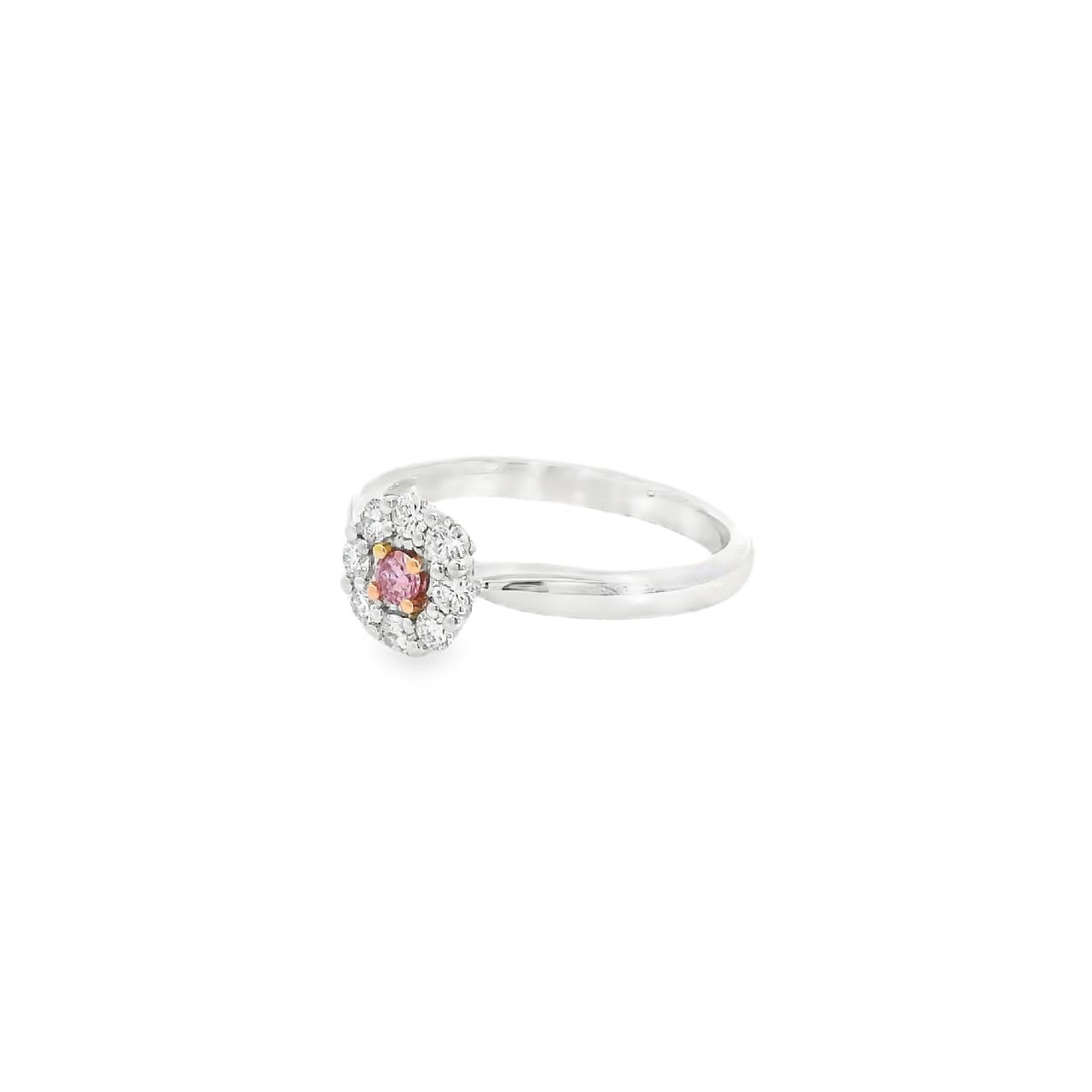 18ct white gold pink and white diamond ring featuring a multi-claw flower cluster design with central Argyle pink diamond and polished band.