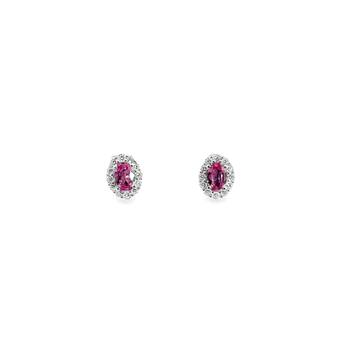 18ct white gold stud earrings featuring oval pink sapphires surrounded by diamond halos with post and butterfly fittings.