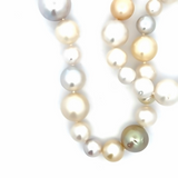South Sea Pearl Strand with Yellow Gold Clasp