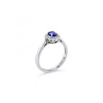 18ct white gold ring featuring a 0.45ct oval cut tanzanite surrounded by twelve round brilliant cut diamonds in an elegant oval cluster design.